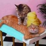 Massagem para o noivo relaxar antes de ver a fatura do cartão