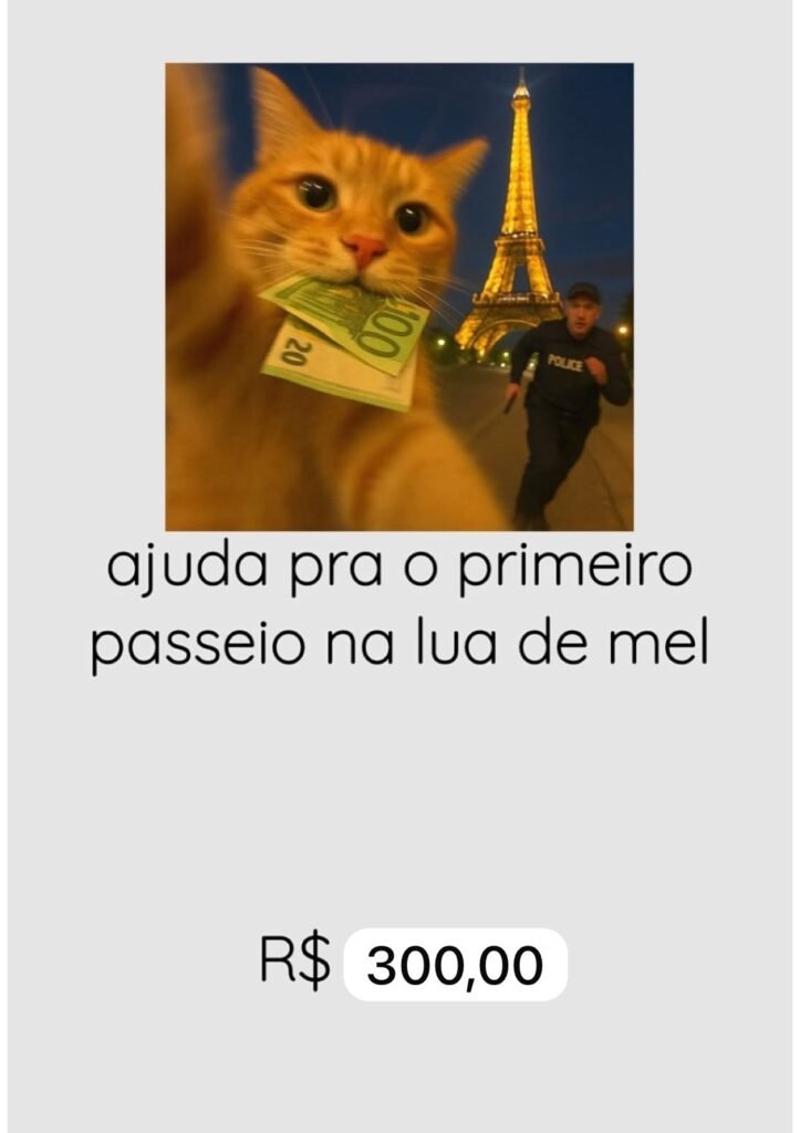 Ajuda pra o primeiro passeio na lua de mel